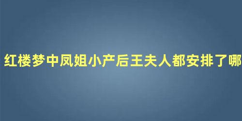 红楼梦中凤姐小产后王夫人都安排了哪些人管家