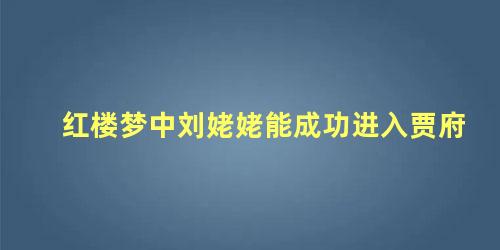 红楼梦中刘姥姥能成功进入贾府