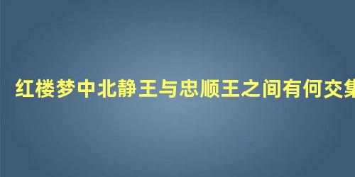 红楼梦中北静王与忠顺王之间有何交集