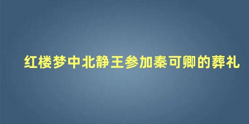 红楼梦中北静王参加秦可卿的葬礼