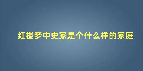 红楼梦中史家是个什么样的家庭