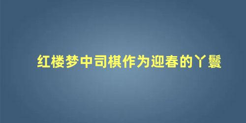 红楼梦中司棋作为迎春的丫鬟