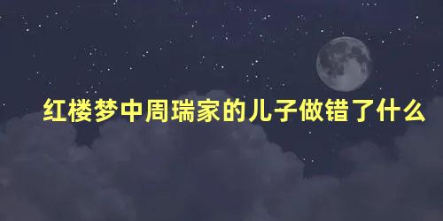 红楼梦中周瑞家的儿子做错了什么