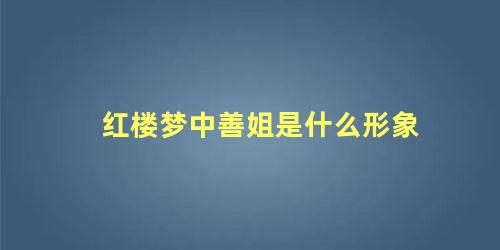 红楼梦中善姐是什么形象