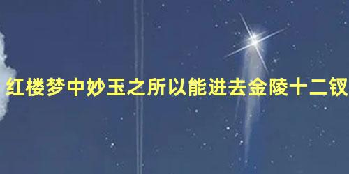 红楼梦中妙玉之所以能进去金陵十二钗正册的原因是什么