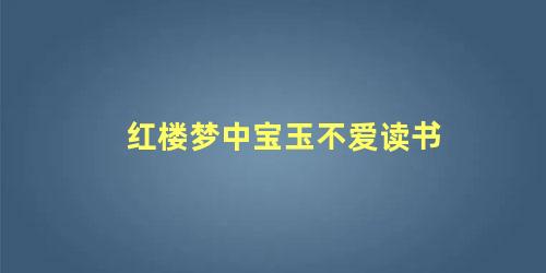 红楼梦中宝玉不爱读书