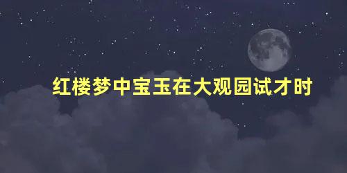 红楼梦中宝玉在大观园试才时