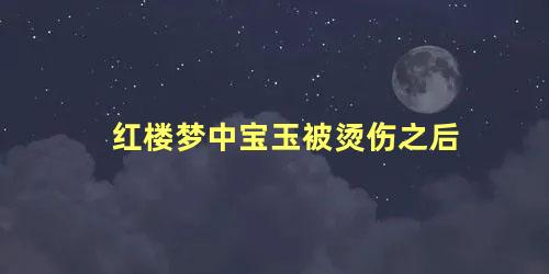 红楼梦中宝玉被烫伤之后