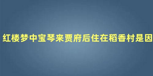 红楼梦中宝琴来贾府后住在稻香村是因为什么