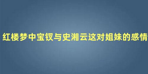 红楼梦中宝钗与史湘云这对姐妹的感情经过了什么样的变化