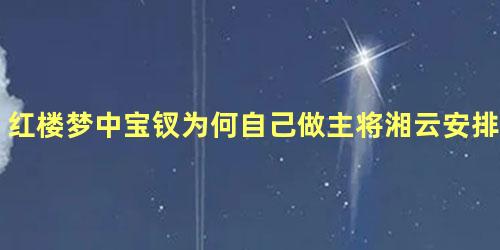 红楼梦中宝钗为何自己做主将湘云安排住进稻香村