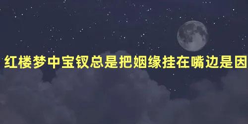 红楼梦中宝钗总是把姻缘挂在嘴边是因为什么