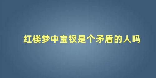 红楼梦中宝钗是个矛盾的人吗