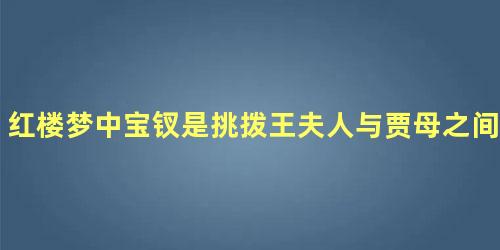 红楼梦中宝钗是挑拨王夫人与贾母之间的关系的