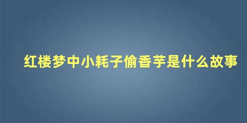 红楼梦中小耗子偷香芋是什么故事