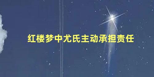 红楼梦中尤氏主动承担责任