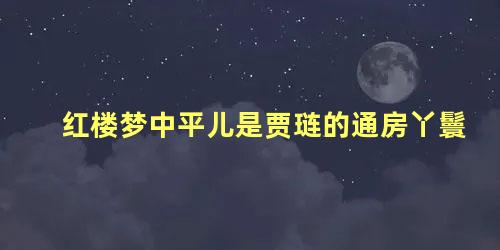 红楼梦中平儿是贾琏的通房丫鬟