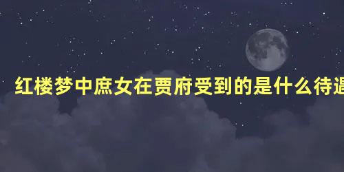 红楼梦中庶女在贾府受到的是什么待遇