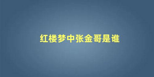 红楼梦中张金哥是谁