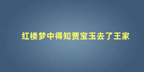 红楼梦中得知贾宝玉去了王家