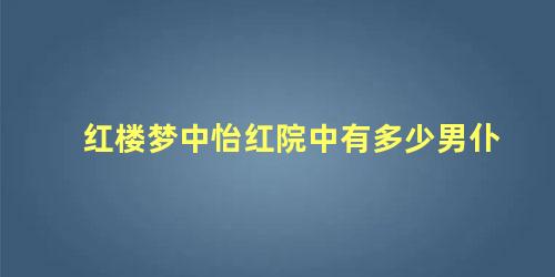 红楼梦中怡红院中有多少男仆