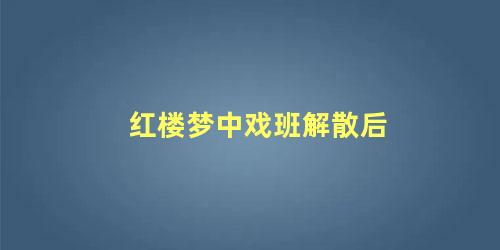 红楼梦中戏班解散后