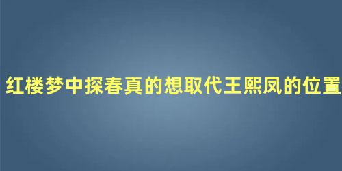 红楼梦中探春真的想取代王熙凤的位置吗