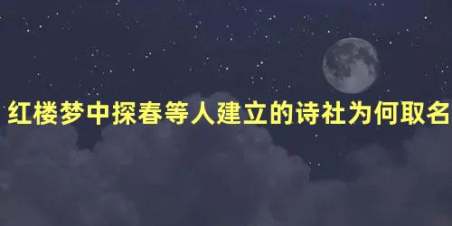 红楼梦中探春等人建立的诗社为何取名海棠