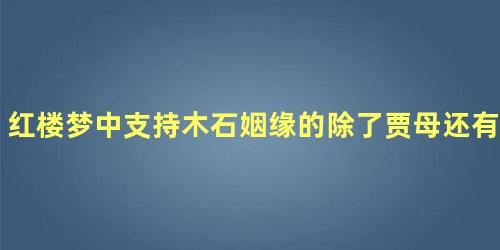 红楼梦中支持木石姻缘的除了贾母还有谁