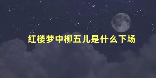 红楼梦中柳五儿是什么下场