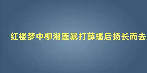 红楼梦中柳湘莲暴打薛蟠后扬长而去