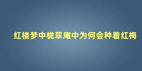 红楼梦中栊翠庵中为何会种着红梅