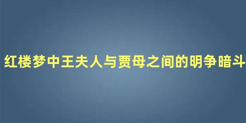 红楼梦中王夫人与贾母之间的明争暗斗是什么结局