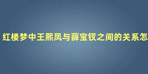 红楼梦中王熙凤与薛宝钗之间的关系怎么样