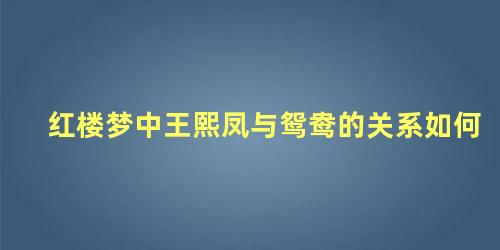 红楼梦中王熙凤与鸳鸯的关系如何