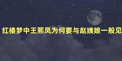 红楼梦中王熙凤为何要与赵姨娘一般见识