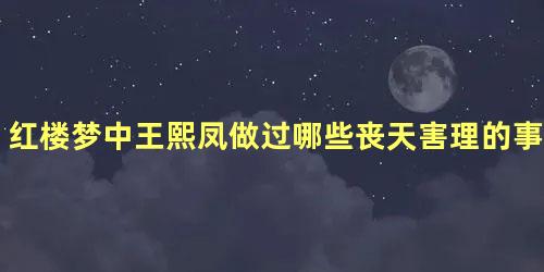 红楼梦中王熙凤做过哪些丧天害理的事情