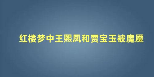 红楼梦中王熙凤和贾宝玉被魔魇