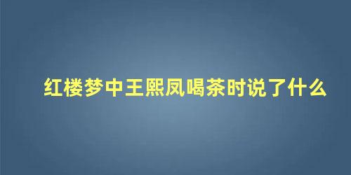 红楼梦中王熙凤喝茶时说了什么