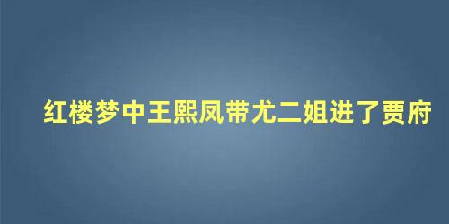 红楼梦中王熙凤带尤二姐进了贾府