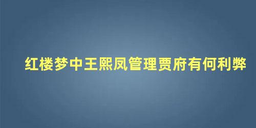 红楼梦中王熙凤管理贾府有何利弊