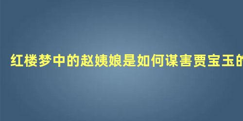 红楼梦中的赵姨娘是如何谋害贾宝玉的