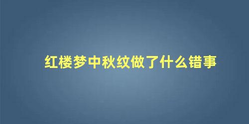 红楼梦中秋纹做了什么错事