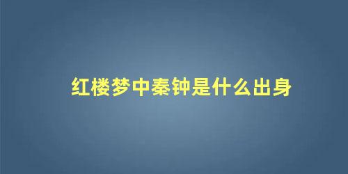 红楼梦中秦钟是什么出身