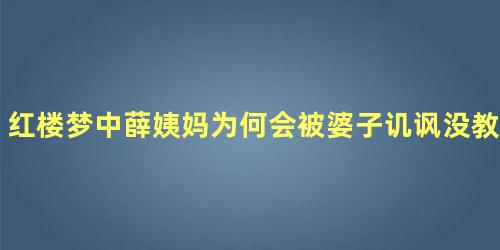 红楼梦中薛姨妈为何会被婆子讥讽没教养