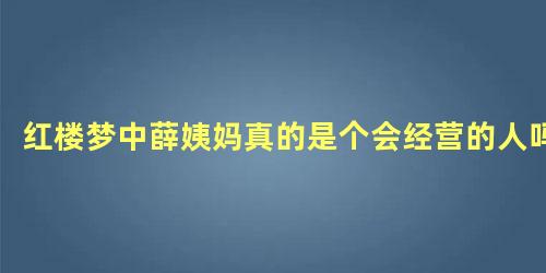 红楼梦中薛姨妈真的是个会经营的人吗