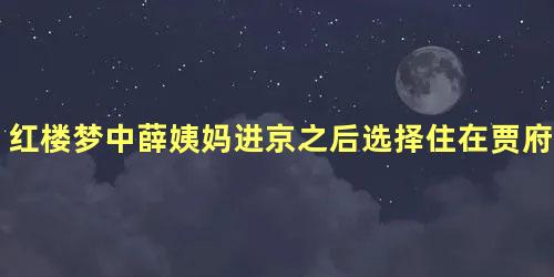 红楼梦中薛姨妈进京之后选择住在贾府是为了什么