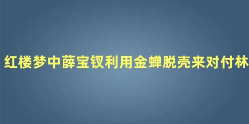 红楼梦中薛宝钗利用金蝉脱壳来对付林黛玉