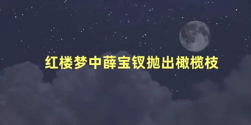 红楼梦中薛宝钗抛出橄榄枝