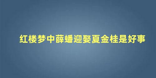 红楼梦中薛蟠迎娶夏金桂是好事